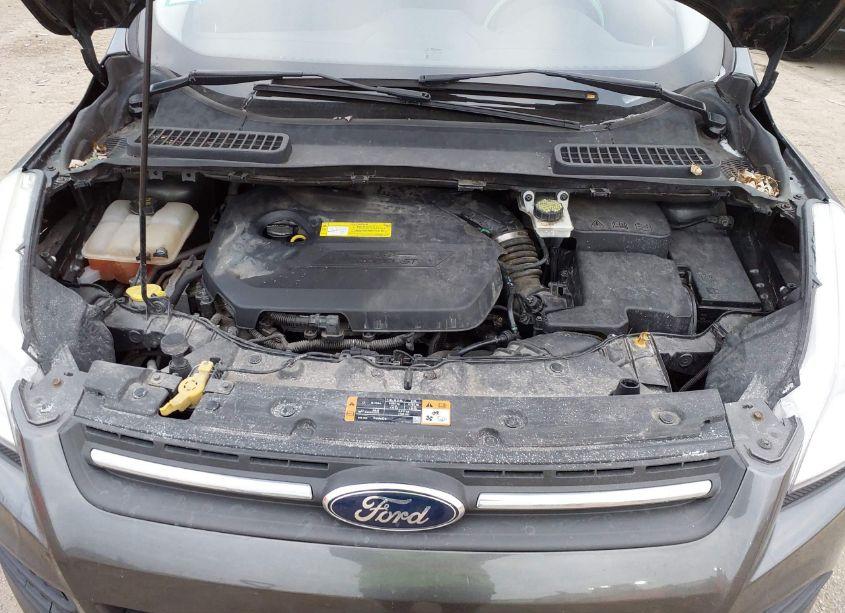 Photo 10 of 2016 Ford Escape SE (VIN 1FMCU0GX7GUA83249)