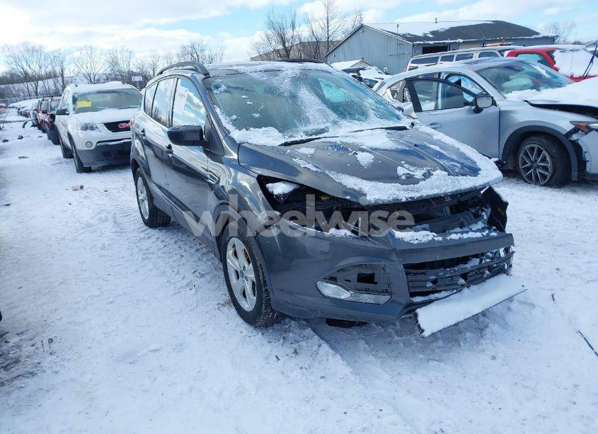 2016 Ford Escape SE (VIN 1FMCU0GX7GUB45426) main photo