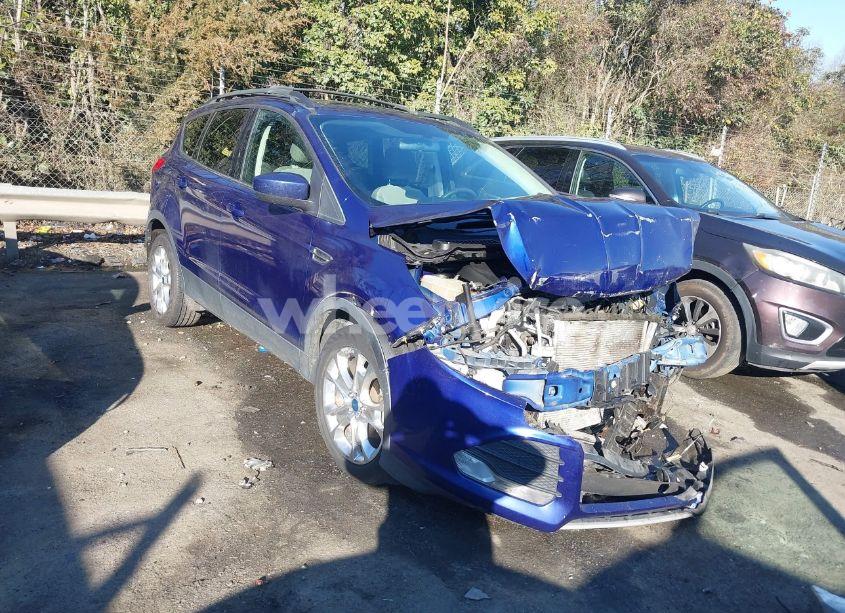 2013 Ford Escape SE (VIN 1FMCU0GX8DUA37800) main photo