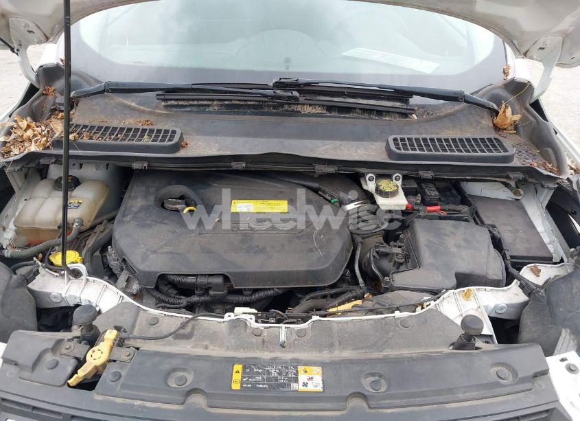 Photo 10 of 2013 Ford Escape SE (VIN 1FMCU0GX8DUB34169)