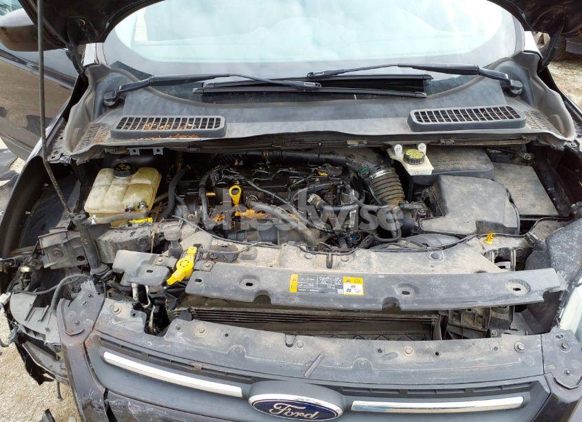 Photo 10 of 2013 Ford Escape SE (VIN 1FMCU0GX8DUB93951)