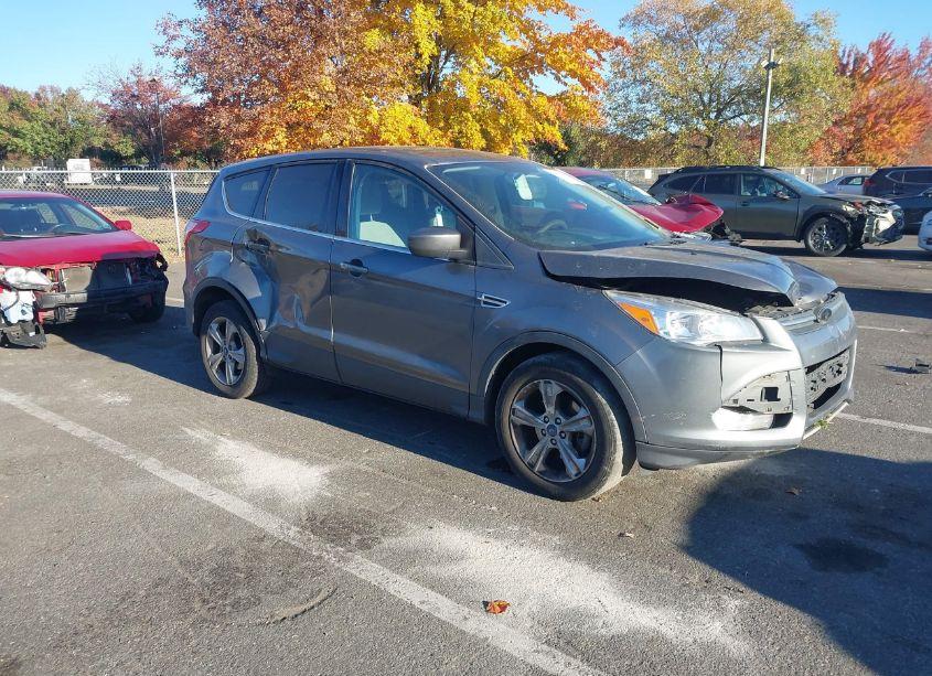 2013 Ford Escape SE (VIN 1FMCU0GX8DUC19089) main photo