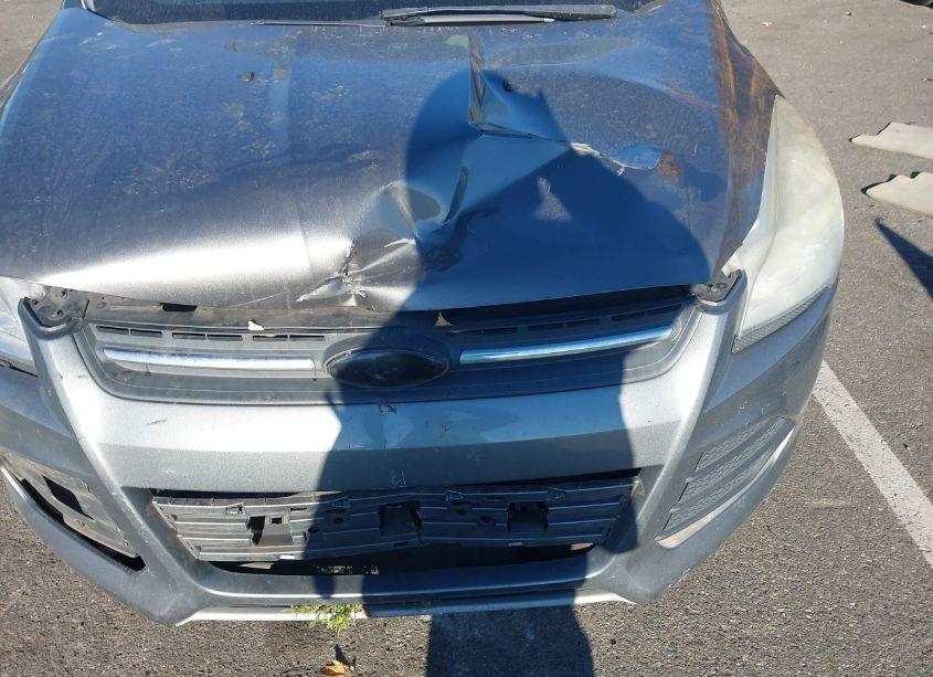 Photo 6 of 2013 Ford Escape SE (VIN 1FMCU0GX8DUC19089)