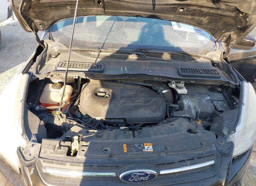 Photo 10 of 2013 Ford Escape SE (VIN 1FMCU0GX8DUC31209)