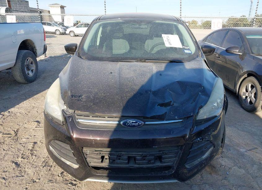 Photo 12 of 2013 Ford Escape SE (VIN 1FMCU0GX8DUC31209)