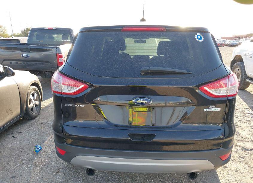 Photo 16 of 2013 Ford Escape SE (VIN 1FMCU0GX8DUC31209)