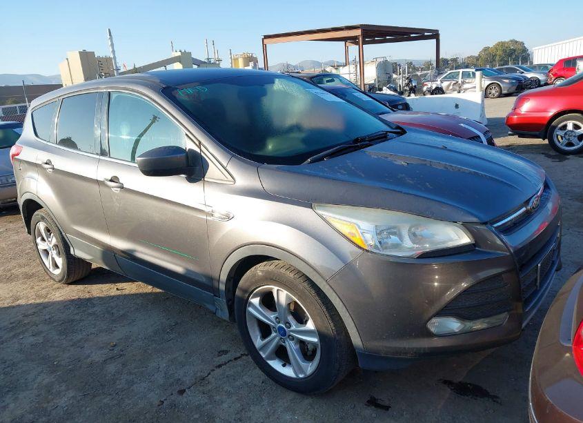 2013 Ford Escape SE (VIN 1FMCU0GX8DUC36295) main photo