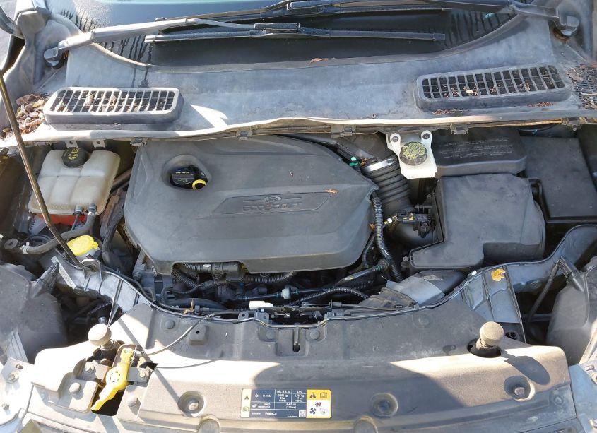 Photo 10 of 2013 Ford Escape SE (VIN 1FMCU0GX8DUC36295)