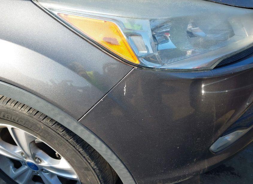 Photo 6 of 2013 Ford Escape SE (VIN 1FMCU0GX8DUC36295)