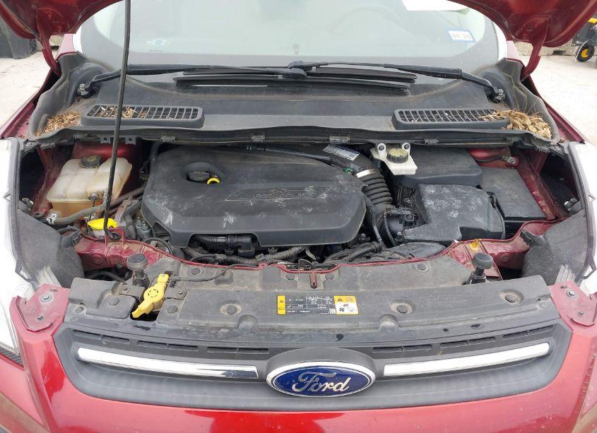 Photo 10 of 2013 Ford Escape SE (VIN 1FMCU0GX8DUC70303)