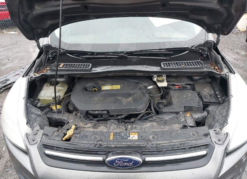 Photo 10 of 2013 Ford Escape SE (VIN 1FMCU0GX8DUC92575)
