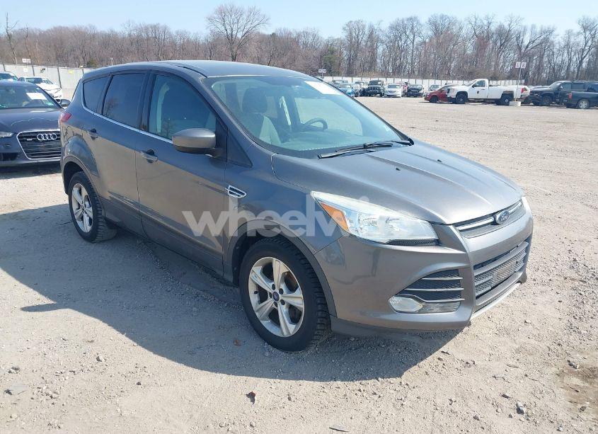 2014 Ford Escape SE (VIN 1FMCU0GX8EUA01848) main photo