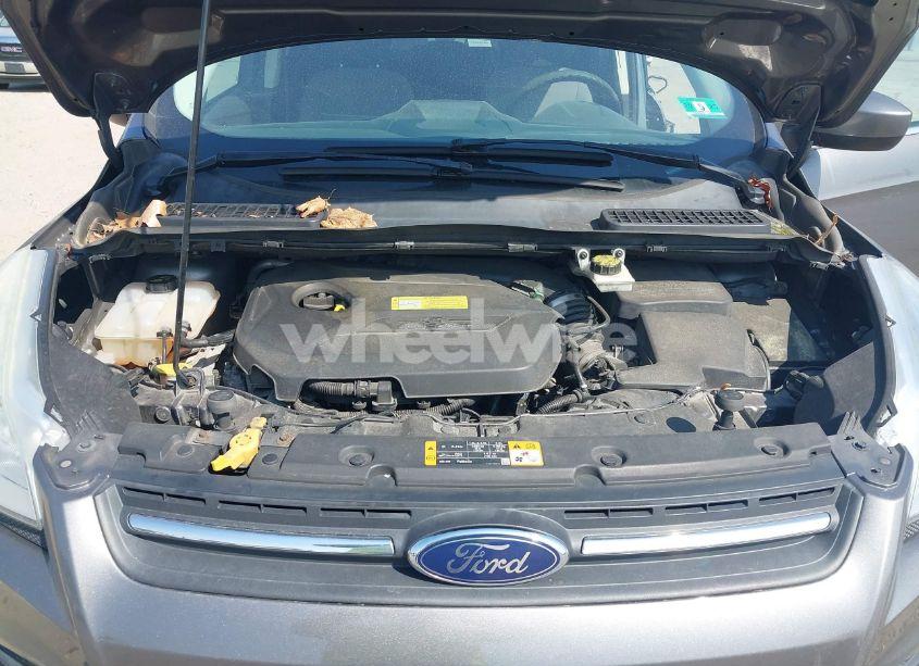 Photo 10 of 2014 Ford Escape SE (VIN 1FMCU0GX8EUA01848)
