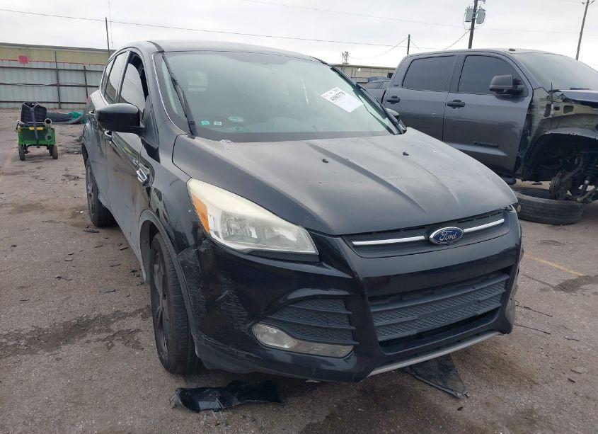 2014 Ford Escape SE (VIN 1FMCU0GX8EUA20920) main photo