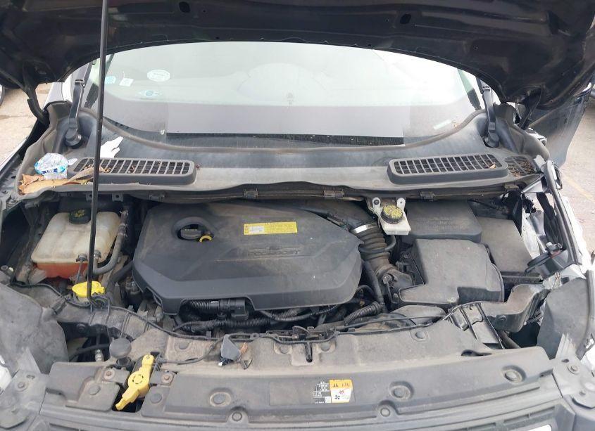 Photo 10 of 2014 Ford Escape SE (VIN 1FMCU0GX8EUA20920)