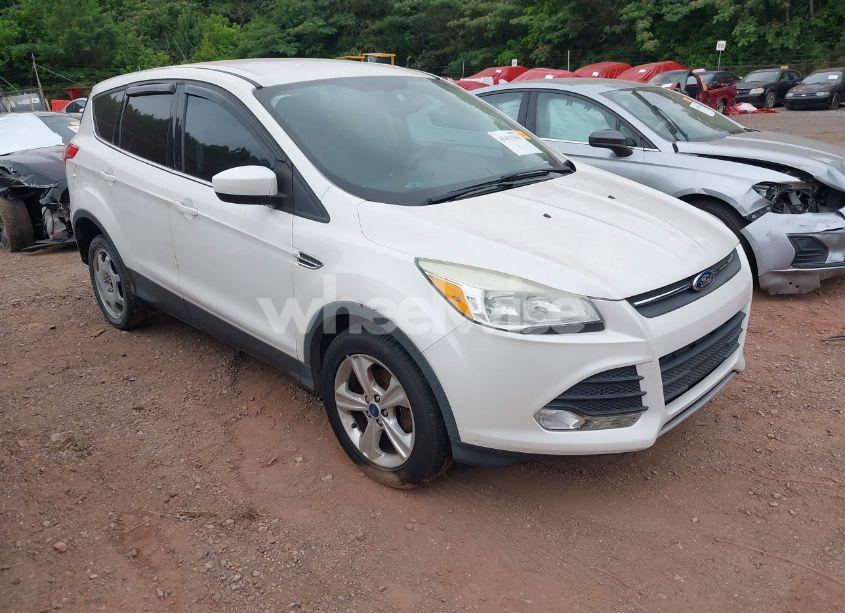 2014 Ford Escape SE (VIN 1FMCU0GX8EUA34901) main photo
