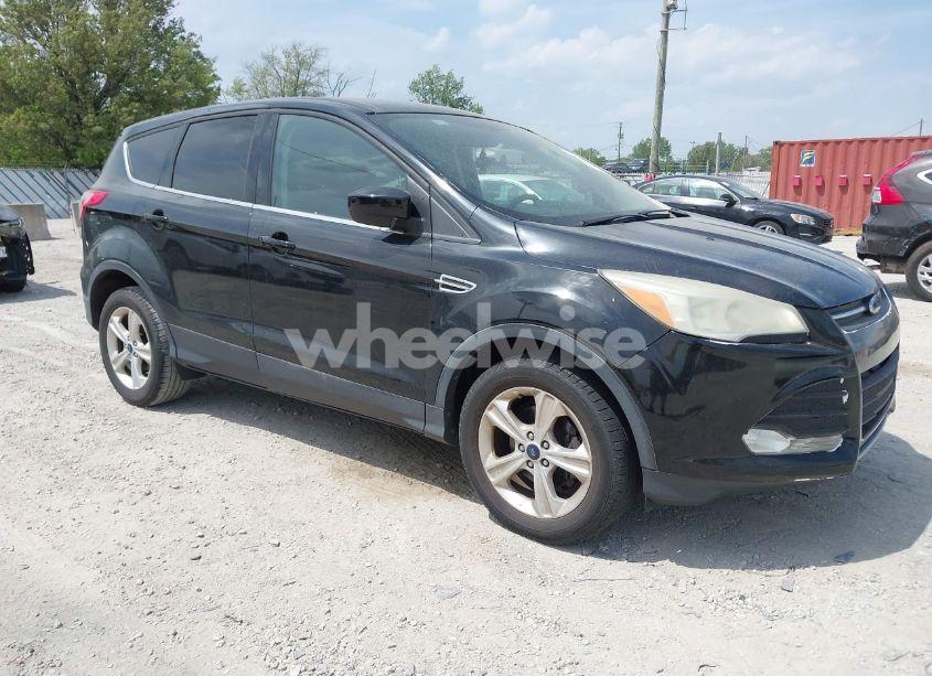 2014 Ford Escape SE (VIN 1FMCU0GX8EUA87064) main photo