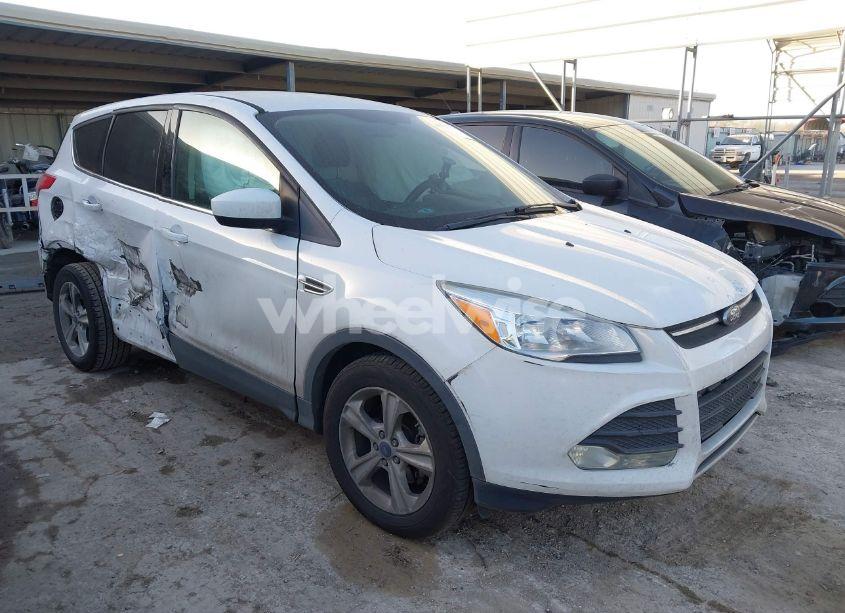 2014 Ford Escape SE (VIN 1FMCU0GX8EUB31399) main photo