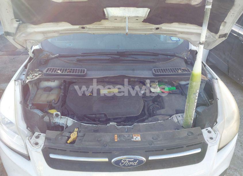 Photo 10 of 2014 Ford Escape SE (VIN 1FMCU0GX8EUB31399)