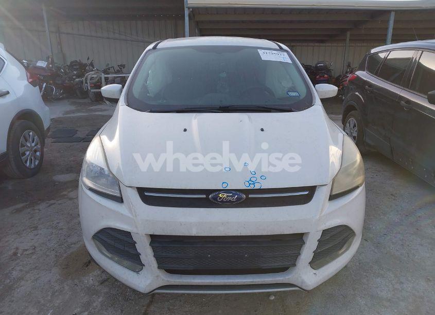 Photo 12 of 2014 Ford Escape SE (VIN 1FMCU0GX8EUB31399)