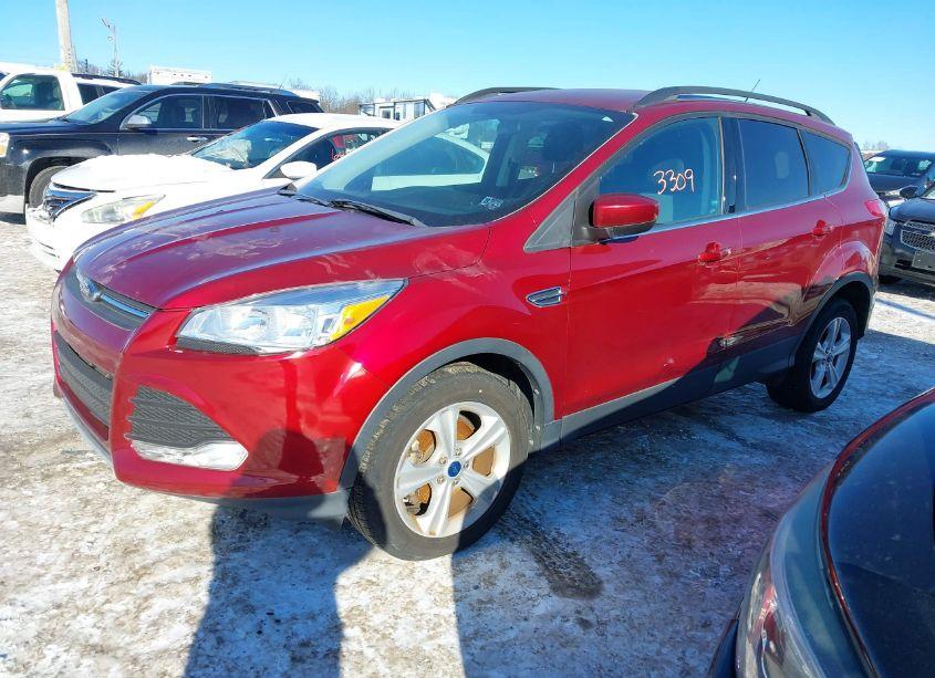 Photo 2 of 2014 Ford Escape SE (VIN 1FMCU0GX8EUB38854)