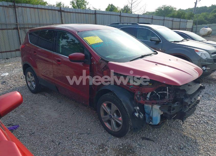 2014 Ford Escape SE (VIN 1FMCU0GX8EUB77766) main photo