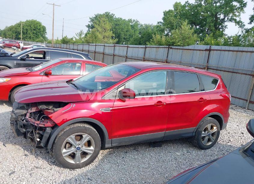 Photo 14 of 2014 Ford Escape SE (VIN 1FMCU0GX8EUB77766)