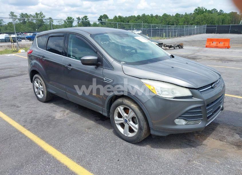 2014 Ford Escape SE (VIN 1FMCU0GX8EUC89645) main photo