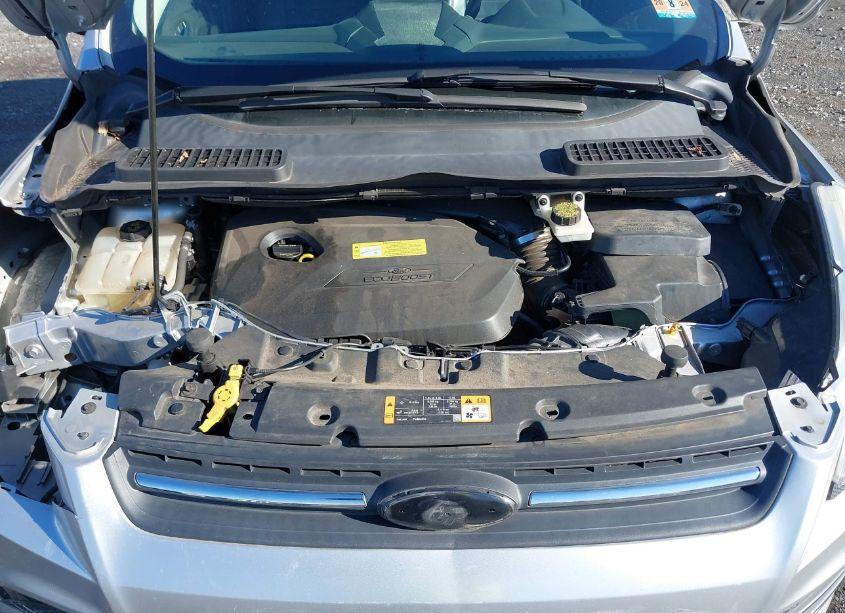 Photo 10 of 2014 Ford Escape SE (VIN 1FMCU0GX8EUC98880)