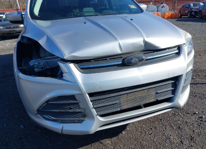 Photo 6 of 2014 Ford Escape SE (VIN 1FMCU0GX8EUC98880)