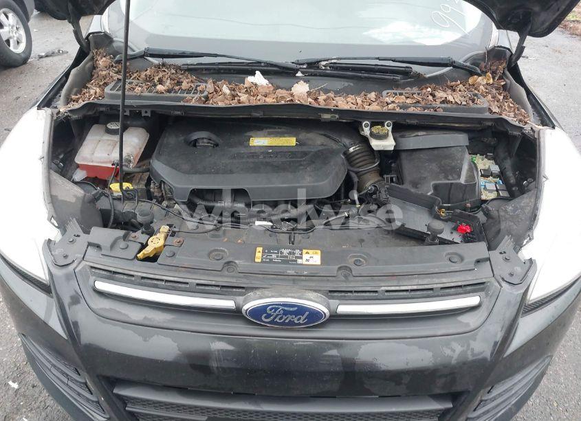 Photo 10 of 2014 Ford Escape SE (VIN 1FMCU0GX8EUC99933)
