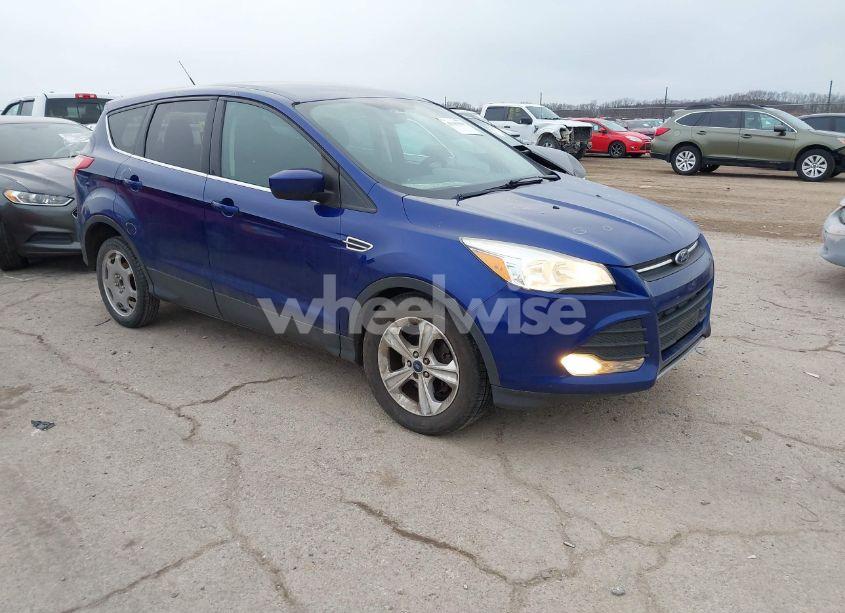 2014 Ford Escape SE (VIN 1FMCU0GX8EUD20361) main photo