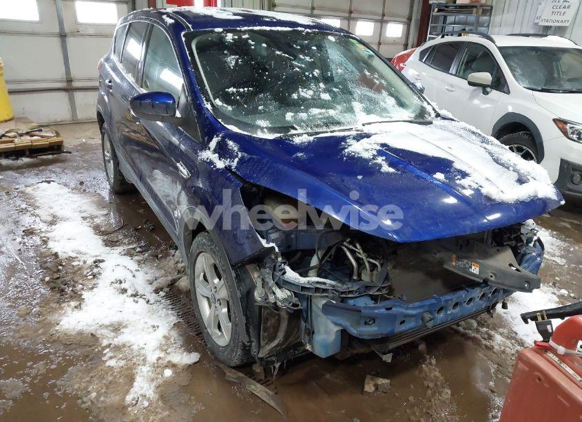 2014 Ford Escape SE (VIN 1FMCU0GX8EUD26015) main photo