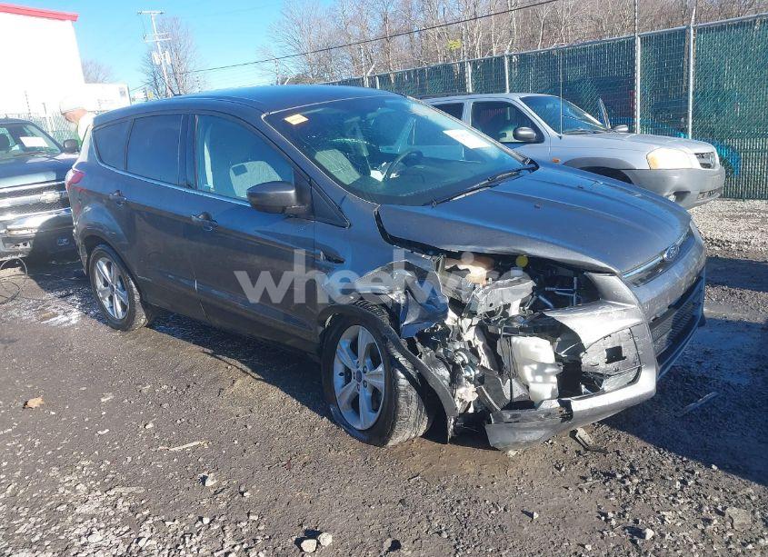 2014 Ford Escape SE (VIN 1FMCU0GX8EUD64456) main photo