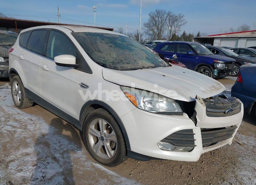 2015 Ford Escape SE (VIN 1FMCU0GX8FUB03037) main photo