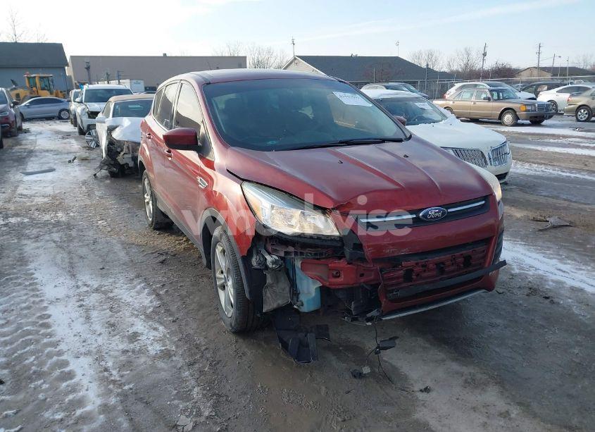 2015 Ford Escape SE (VIN 1FMCU0GX8FUB33736) main photo