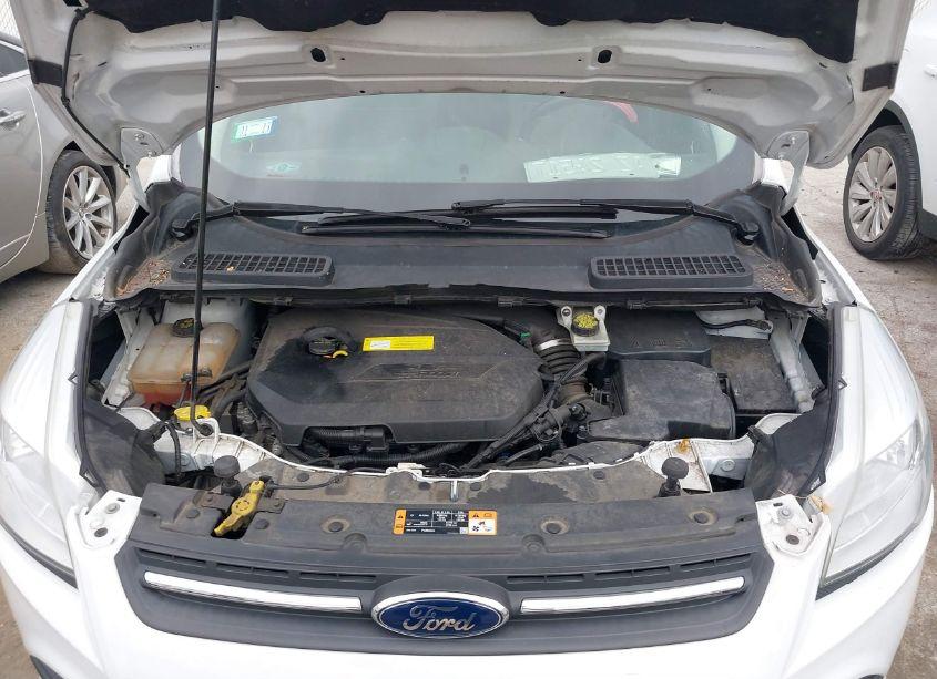 Photo 10 of 2015 Ford Escape SE (VIN 1FMCU0GX8FUC43234)