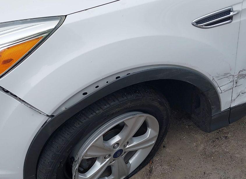Photo 12 of 2015 Ford Escape SE (VIN 1FMCU0GX8FUC43234)