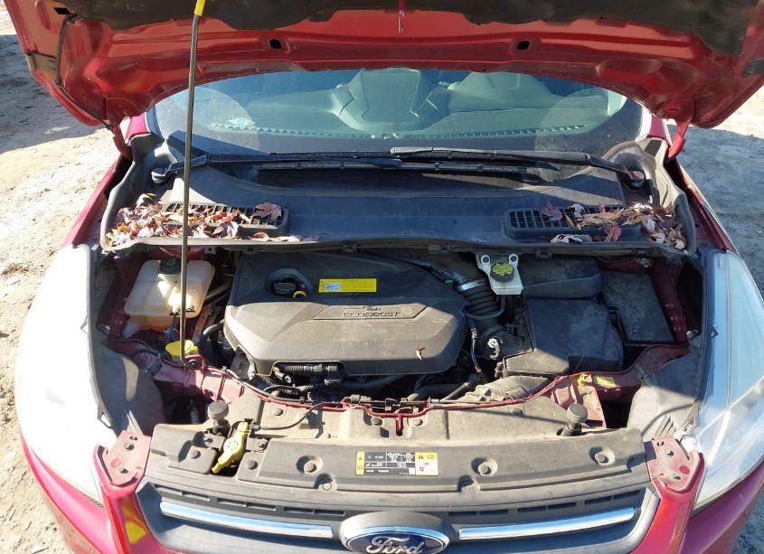 Photo 10 of 2016 Ford Escape SE (VIN 1FMCU0GX8GUA02937)