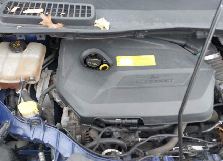 Photo 10 of 2016 Ford Escape SE (VIN 1FMCU0GX8GUA15252)