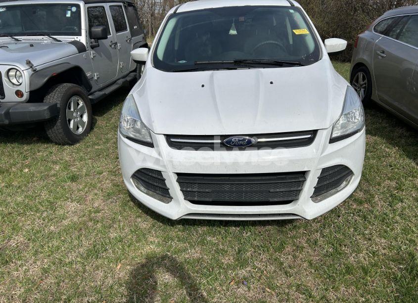 Photo 6 of 2016 Ford Escape SE (VIN 1FMCU0GX8GUA72471)