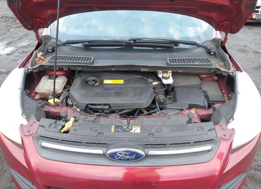 Photo 10 of 2016 Ford Escape SE (VIN 1FMCU0GX8GUB65443)