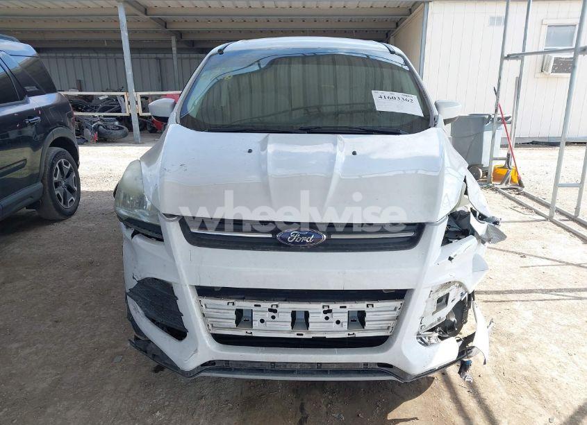 Photo 12 of 2016 Ford Escape SE (VIN 1FMCU0GX8GUC42134)