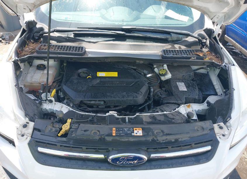 Photo 10 of 2016 Ford Escape SE (VIN 1FMCU0GX8GUC86442)