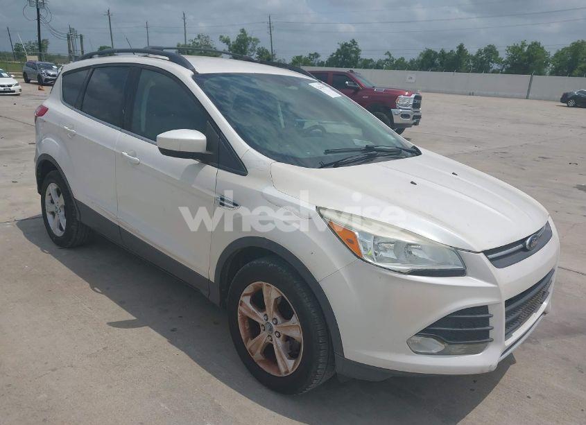 2013 Ford Escape SE (VIN 1FMCU0GX9DUA16843) main photo