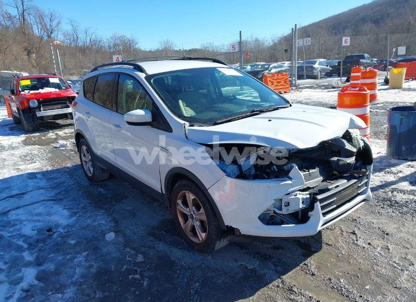 2013 Ford Escape SE (VIN 1FMCU0GX9DUA38390) main photo