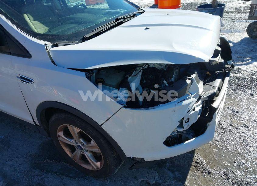Photo 18 of 2013 Ford Escape SE (VIN 1FMCU0GX9DUA38390)