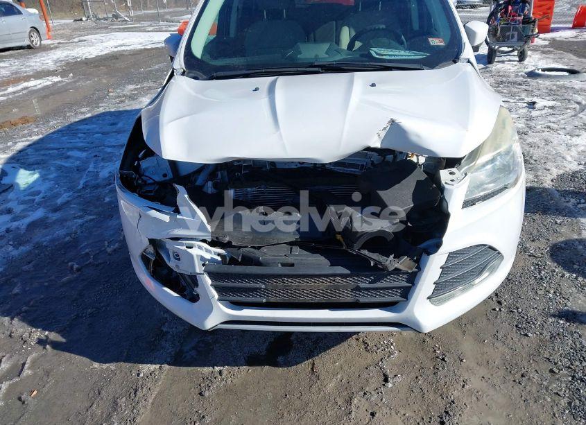 Photo 6 of 2013 Ford Escape SE (VIN 1FMCU0GX9DUA38390)