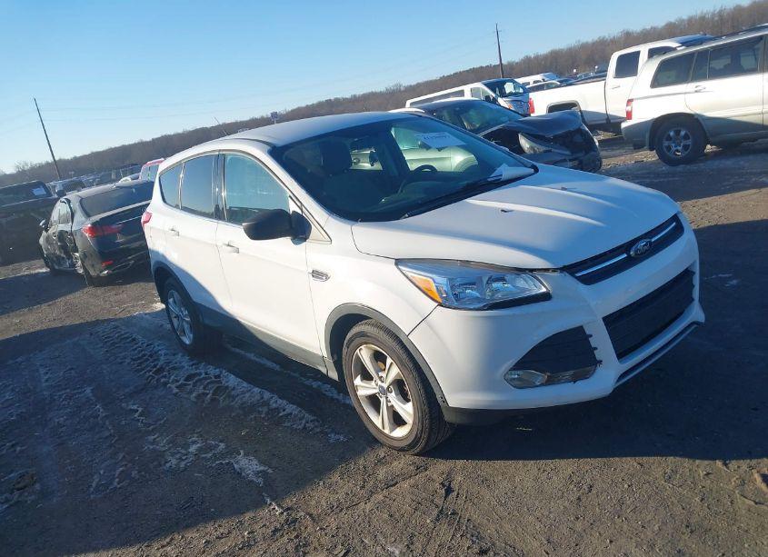 2013 Ford Escape SE (VIN 1FMCU0GX9DUA80381) main photo