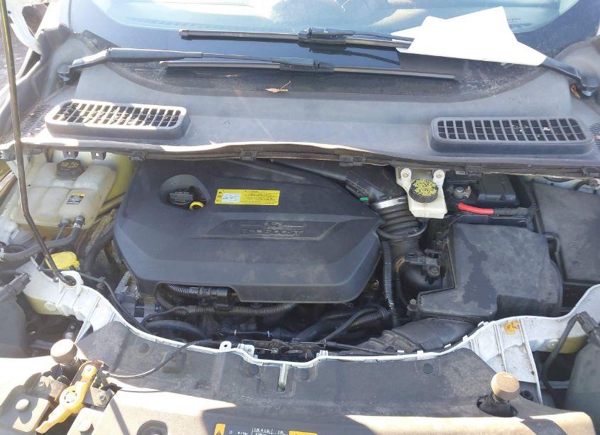 Photo 10 of 2013 Ford Escape SE (VIN 1FMCU0GX9DUA80381)